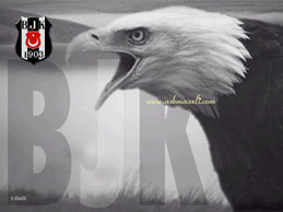 be�ikta� resimleri besiktas resim resimler