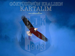 be�ikta� resimleri besiktas resim resimler