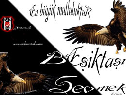 be�ikta� resimleri besiktas resim resimler