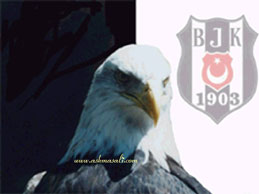 be�ikta� resimleri besiktas resim resimler