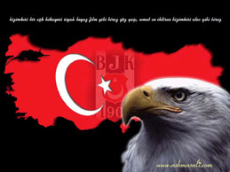 be�ikta� resimleri besiktas resim resimler