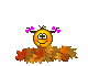 hey3